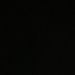 Meet your Posher, Rose